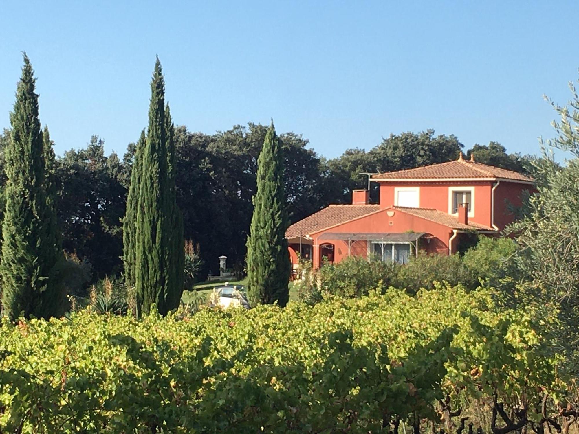 Domaine Des Lavarines Morieres-les-Avignon Exterior foto